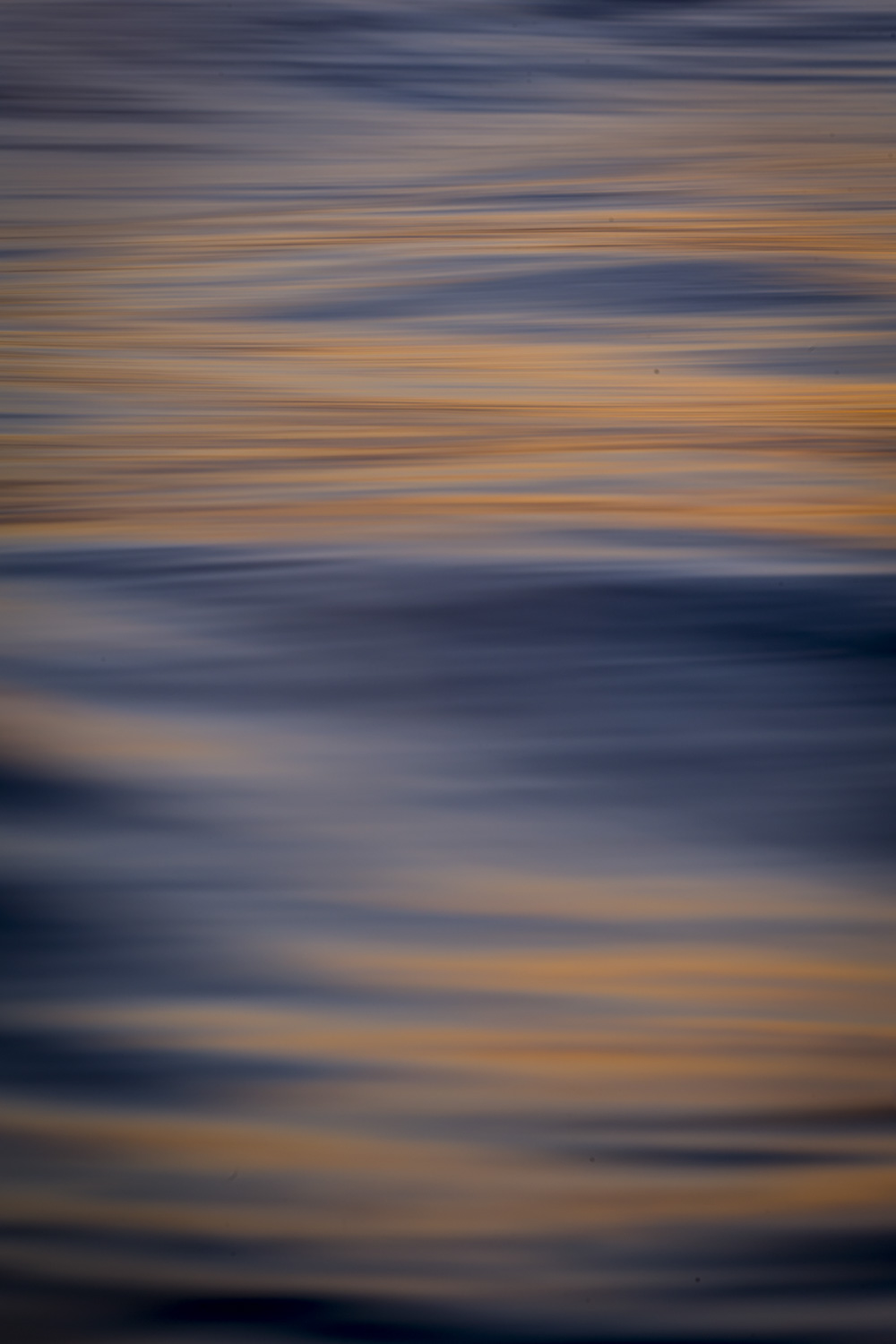 From the Water Series #1