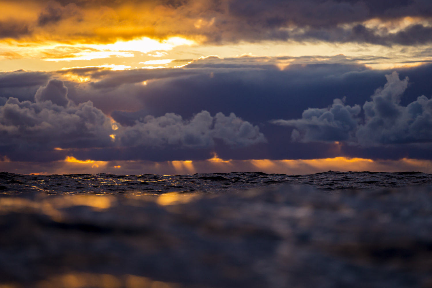 From the Water Series #2