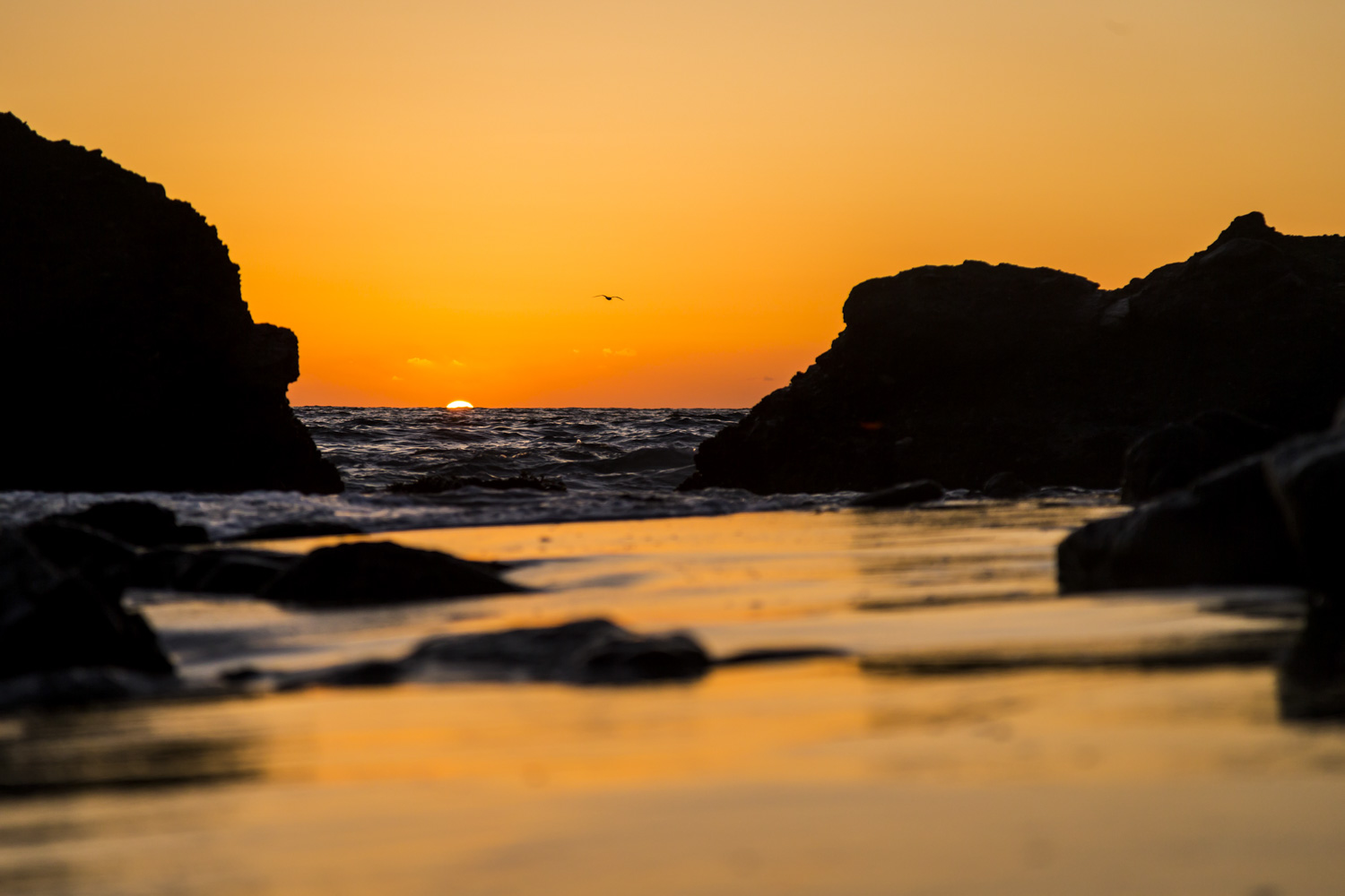 From the Water Series #3