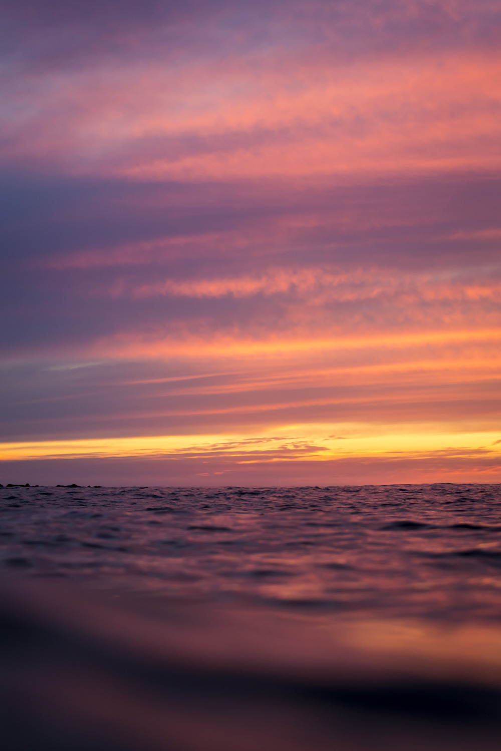 From the Water Series #5