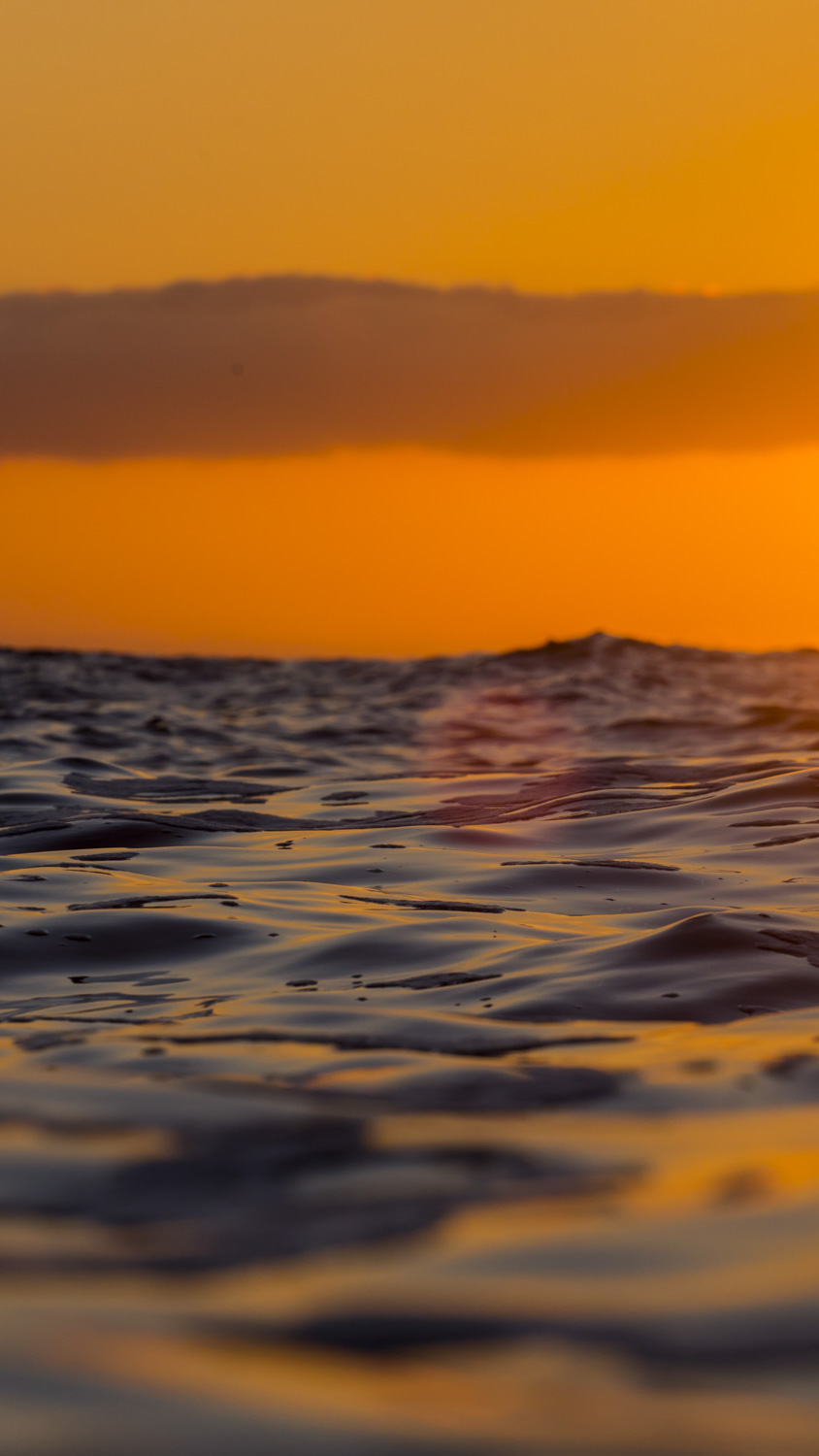 From the Water series #7