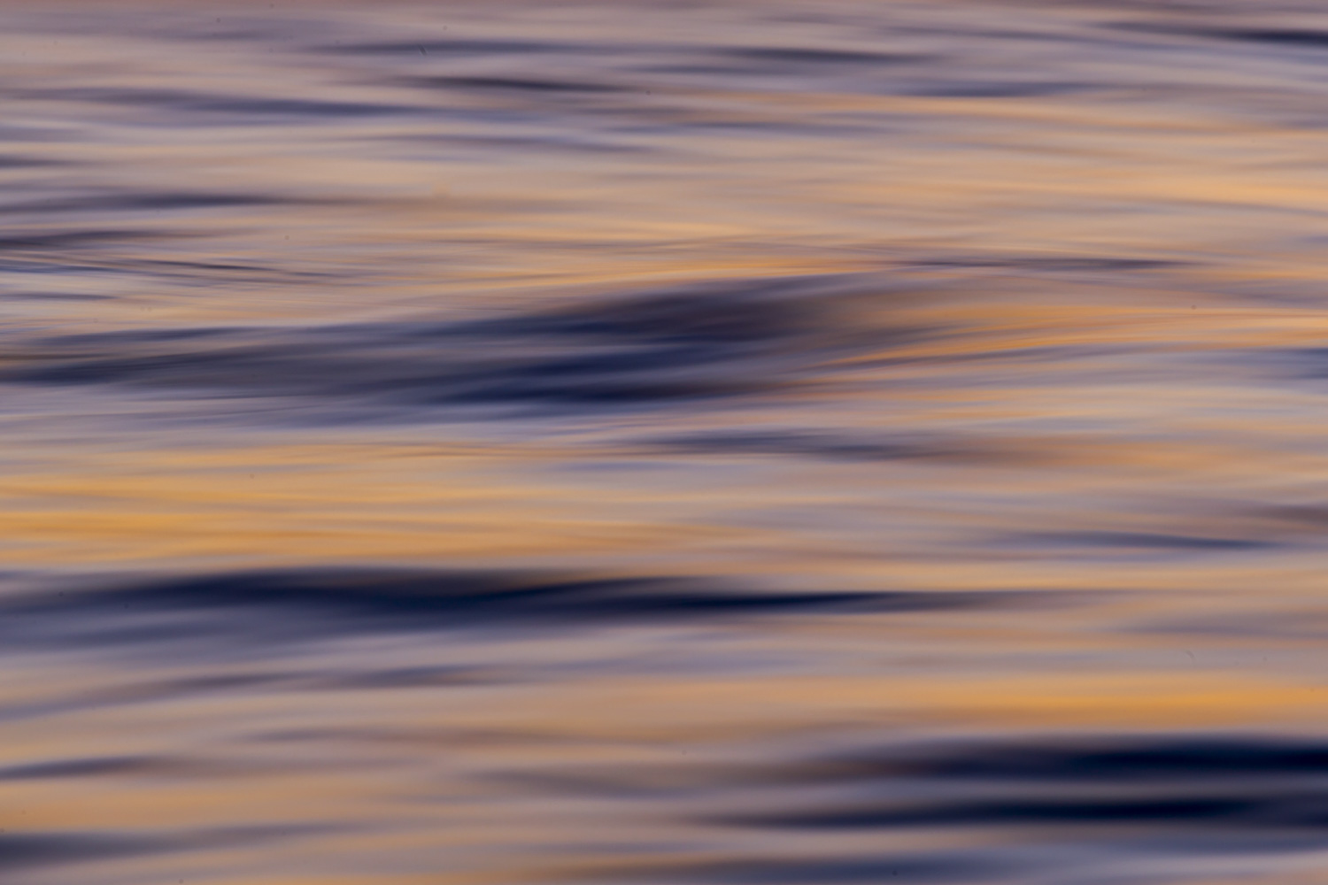 From the Water Series #8