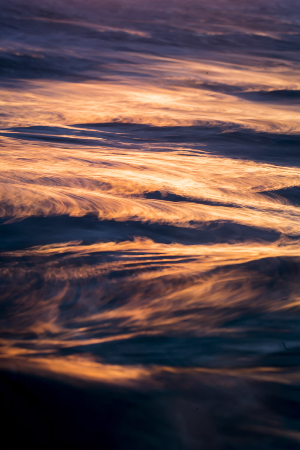 From the Water Series #11