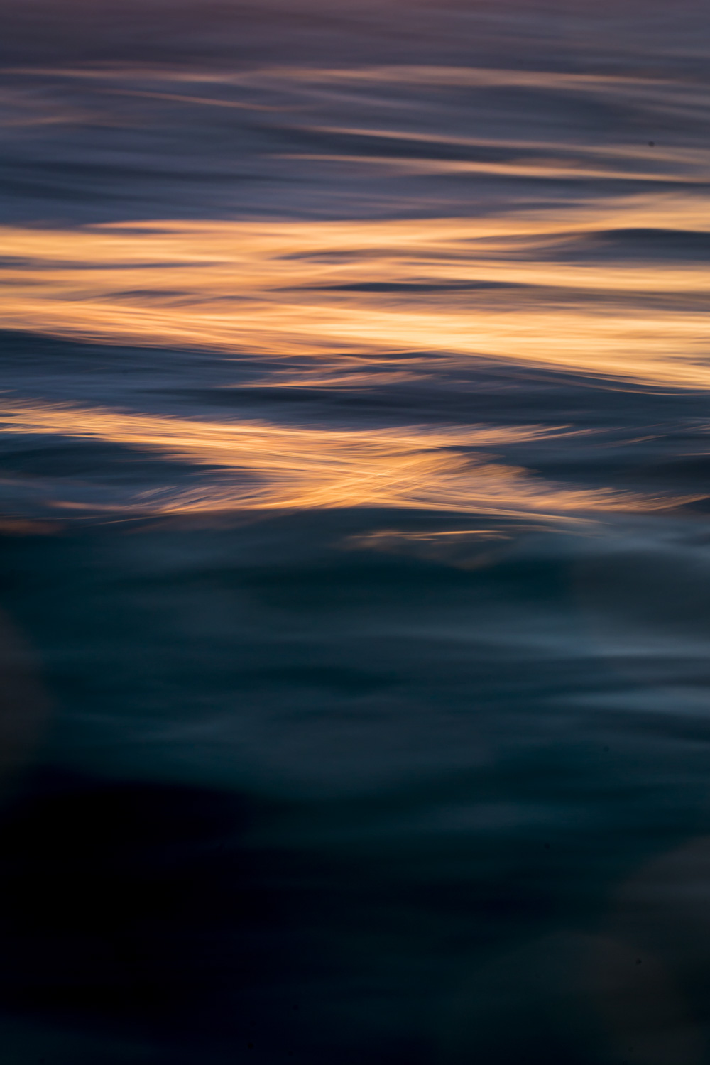 From the Water Series #12