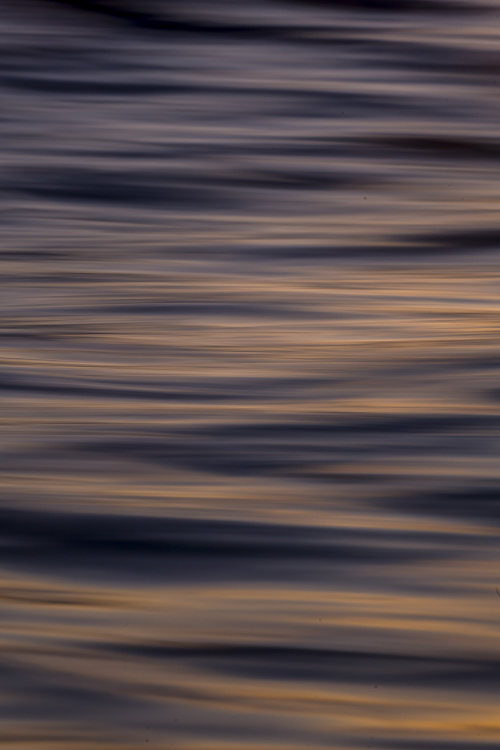 From the Water Series #14